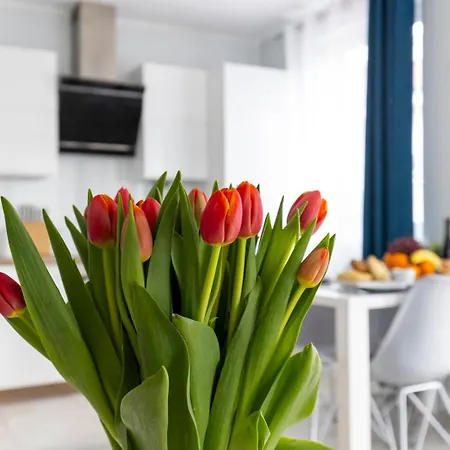 6m W Cenie Basen, Jacuzzi, Silownia, Sala Zabaw, Free Private Parking, Park Rozrywki Hossoland 30 Minut